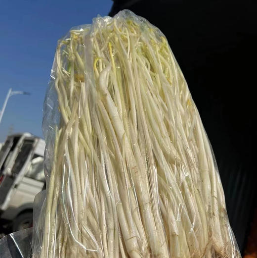 【周二送达】溧阳白芹，入口脆嫩，生吃都可以，微甜爽口，清炒都是一盘美味！ 商品图2