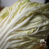 生态翠玉大白菜 | 合作生产* Ecological emerald Chinese cabbage  | Coproduction 商品缩略图6