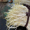 【周二送达】溧阳白芹，入口脆嫩，生吃都可以，微甜爽口，清炒都是一盘美味！ 商品缩略图1