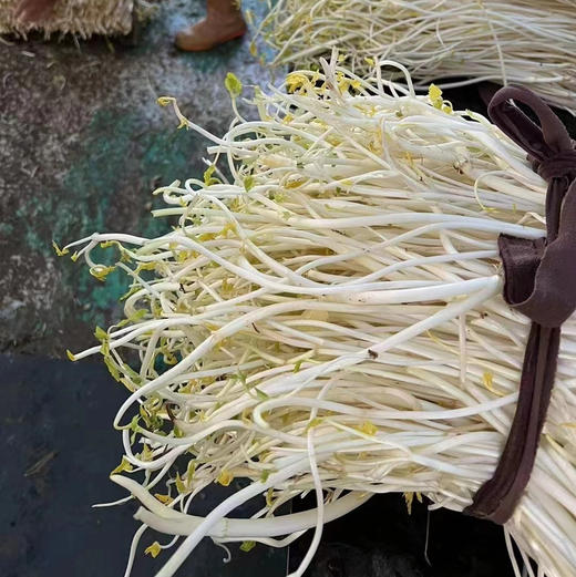 【周二送达】溧阳白芹，入口脆嫩，生吃都可以，微甜爽口，清炒都是一盘美味！ 商品图1