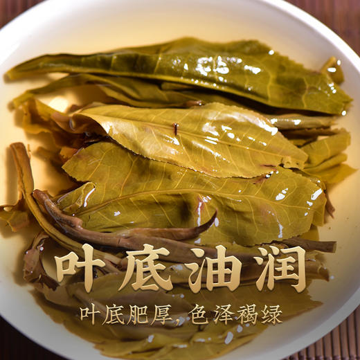 【经典绿色昌泰号】昌泰 2018年绿色昌泰号 普洱生茶 400g/饼（天猫同款） 商品图5