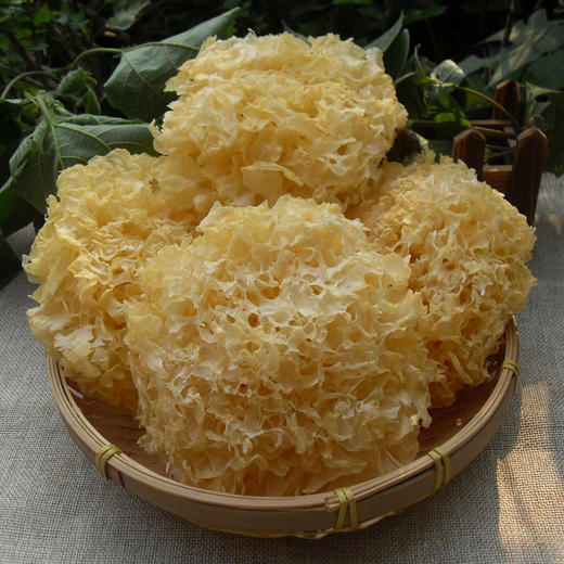 茂兰山语银耳100g/袋【厂家直发】 商品图3