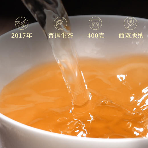 【经典绿色昌泰号】昌泰 2017年绿色昌泰号 普洱生茶 400g/饼（天猫同款） 商品图4