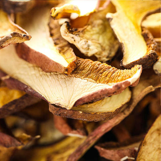 茂兰山语牛肝菌50g/袋装【厂家直发】 商品图4