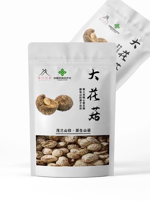 茂兰山语大花菇200g/袋【厂家直发】 商品图1