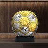预定！世界杯3D足球纪念章大全套 商品缩略图4