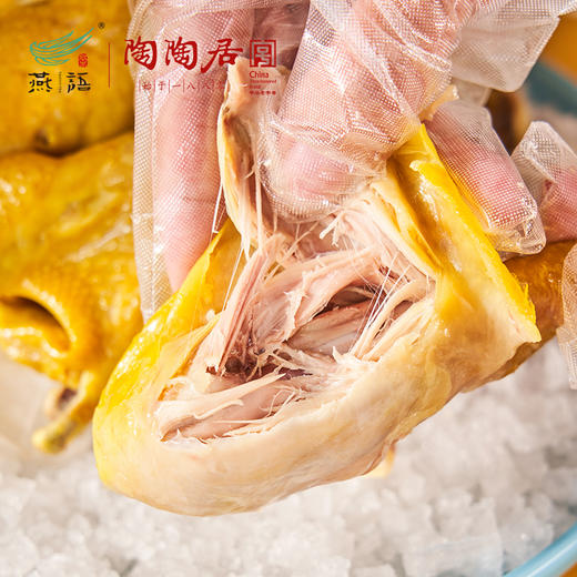 【老字号】陶陶居 传统咸香盐焗鸡 整只鸡900克2只【顺丰冷链包邮】 商品图4