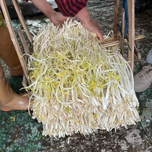 【周二送达】溧阳白芹，入口脆嫩，生吃都可以，微甜爽口，清炒都是一盘美味！ 商品图4