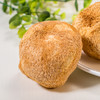 茂兰山语猴头菇150g【厂家直发】 商品缩略图1