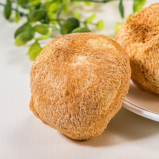 茂兰山语猴头菇150g【厂家直发】 商品图1