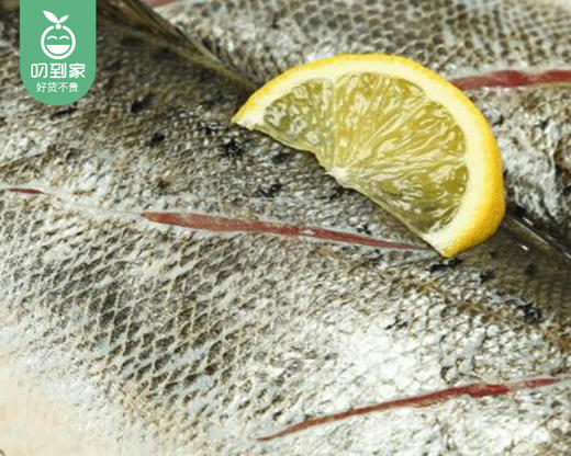 本港七星鲈鱼（冰鲜-杀好）/1份（2条，共350-400g） 商品图2