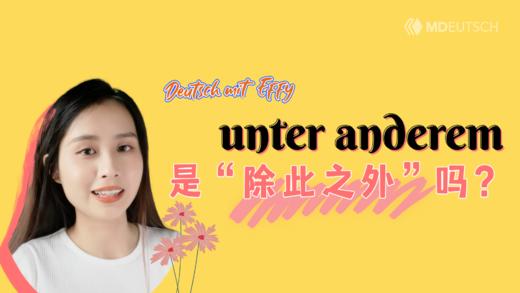 unter anderem 是“除此之外”吗？ 商品图0