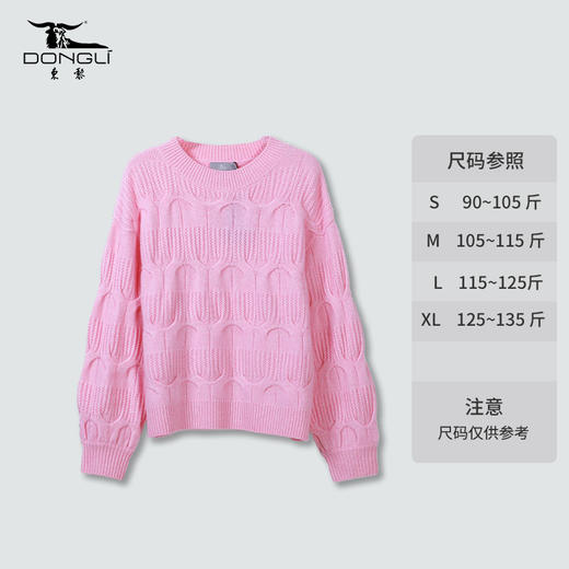 东黎 • 山羊绒 女士秋冬春季针织圆领重工绞花套头羊绒衫慵懒 WSR-21S44 商品图7