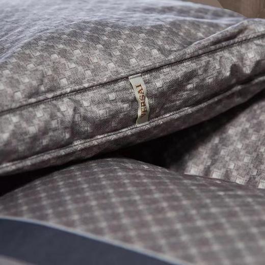 10楼 富安娜 维莎匈牙利进口鹅绒冬被--理想派/灰230*229cm/1100g 吊牌价19800元 活动价6999元 商品图1