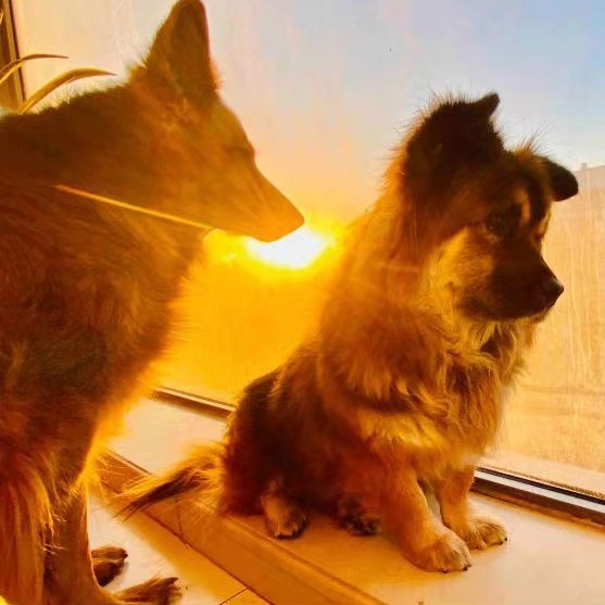 爱自己。不污染地下水的好东西！