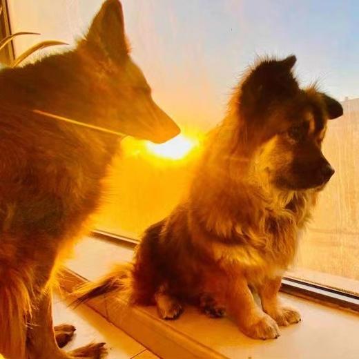 爱自己。不污染地下水的好东西！ 商品图0