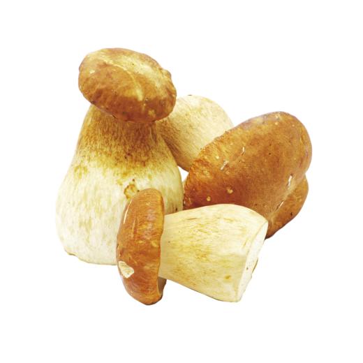 茂兰山语牛肝菌50g/袋装【厂家直发】 商品图1