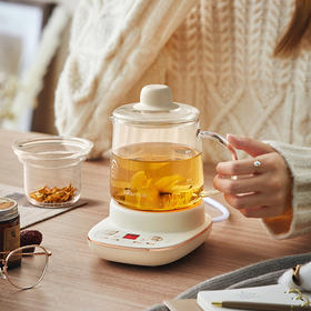 【小程序】小熊养生壶 YSH-D04C6 米黄 玻璃杯+玻璃内胆