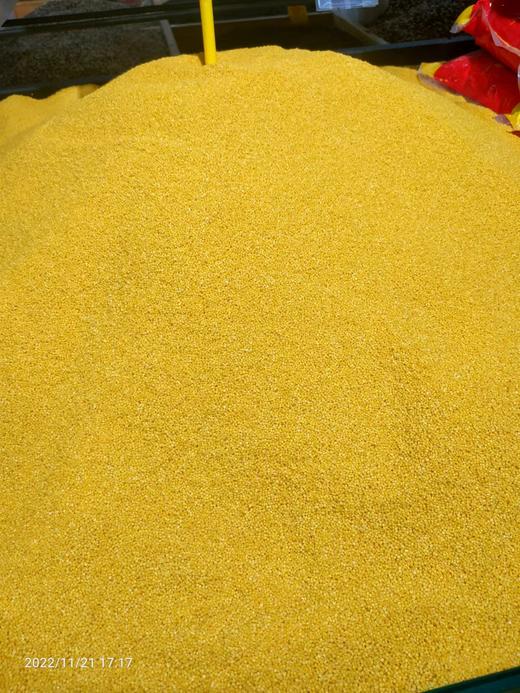 金蔚香小米 商品图0