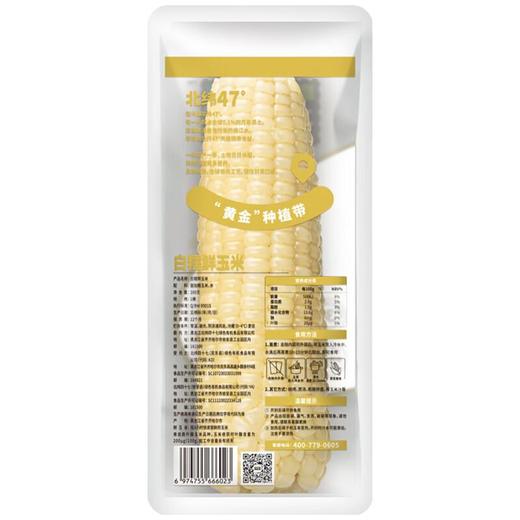 北纬47度白糯玉米 约220g/袋 商品图1