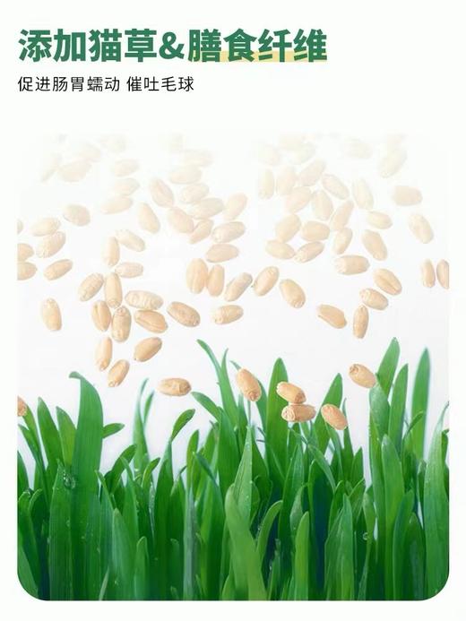 NACA宠物零食冻干猫犬通用 商品图5