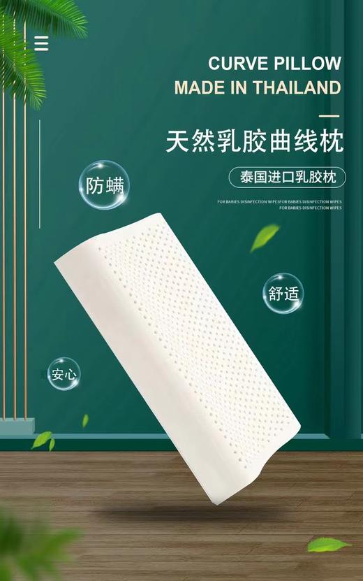 泰国乳胶枕成人曲线款 商品图0