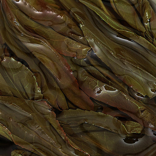 亿筐茶 250g单丛鸭屎香手提袋 圆罐1110 商品图1