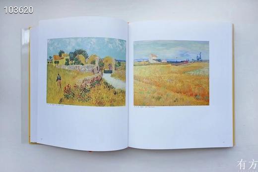 《凡高书信全集》，凡高博物馆 惠更斯历史研究所主编，林骧华等译，分典藏版/普通版两种，典藏版编号，8开精装仿皮封面，印300套；普通版不编号，布脊封面，印1080套。上海书画出版社2016年5月初版。 商品图11