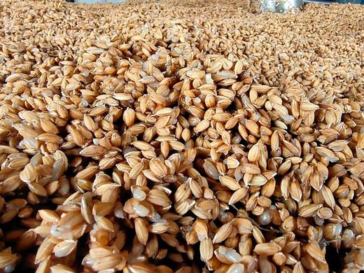 生态谷子酒 商品图1