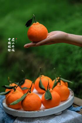 四川眉山【套袋红美人】重新定义爱媛橙！ 9:1黄金酸甜比 皮薄无核多汁 北纬30℃的味觉狂欢