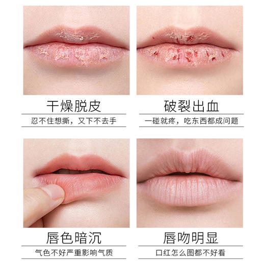 「两支装！冬季滋润嘴唇」维生素润唇膏 牛油果保湿滋润唇油 无色防干秋冬润唇膜润唇膏 商品图3
