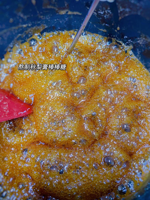 秋梨膏棒棒糖【宝宝零食养生糖】10支装 商品图1