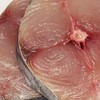 【海南特产】鲤鲤美冻马鲛鱼1kg（500gX2） 商品缩略图2