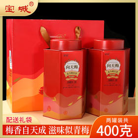 【醇香甘爽】宝城茶叶碳焰D429北斗峰向天梅岩茶两罐装共400克