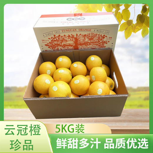 【珍品】云冠橙珍品5kg /件 商品图0