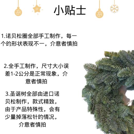 荷兰进口诺贝松圈30公分 ！ 商品图1