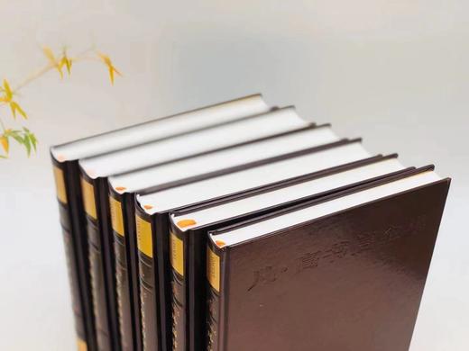 《凡高书信全集》，凡高博物馆 惠更斯历史研究所主编，林骧华等译，分典藏版/普通版两种，典藏版编号，8开精装仿皮封面，印300套；普通版不编号，布脊封面，印1080套。上海书画出版社2016年5月初版。 商品图6