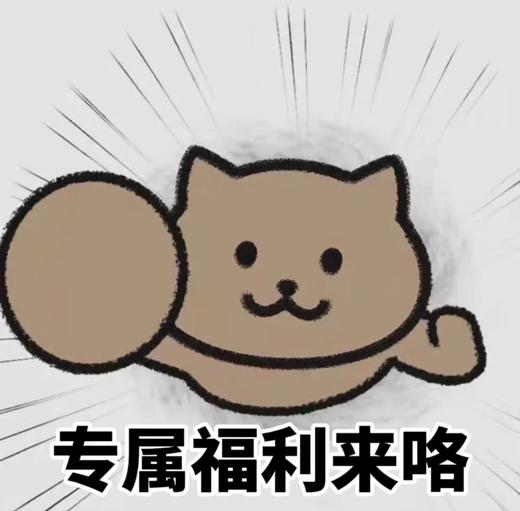 福田KKONE顾客情人节专属优惠链接 商品图0