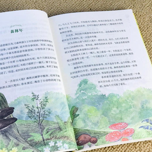 《森林报》(全4册) 彩图美绘本  【9-15岁】 商品图2