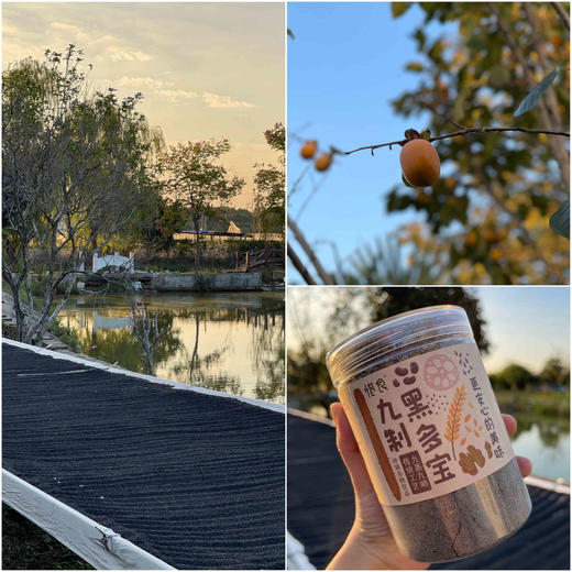 九蒸九晒黑多宝黑谷羹，以黑养黑如此“肾”好！黑芝麻核桃代餐350g 九蒸九晒黑芝麻糊 商品图3