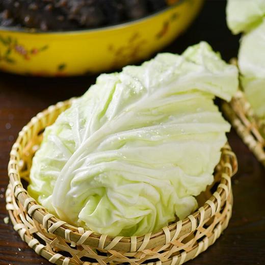 每日伊藤牛心莲白 约500g/份 商品图1