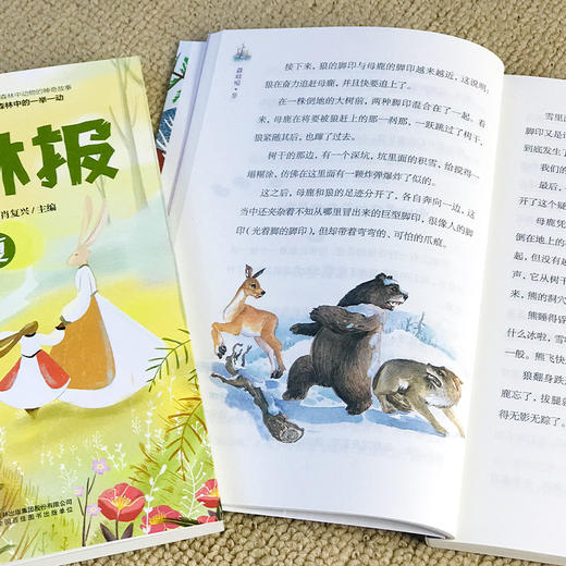 《森林报》(全4册) 彩图美绘本  【9-15岁】 商品图4