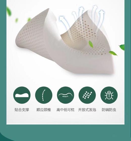 泰国乳胶枕成人曲线款 商品图2
