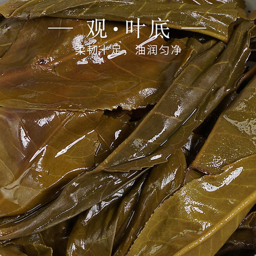 亿筐茶 2015年冰岛 52号生普 商品图4