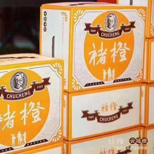 正宗褚橙🍊一‭年一度‭励志褚‭橙“‭高‬甜‭”归来‬‭‭与你‬一‬同逆‬风而‭上，心之所‭‬向“破风”‬前往人生‭总‭有起‭‬‭落 精‬‭‬神‬终可传橙 商品图3