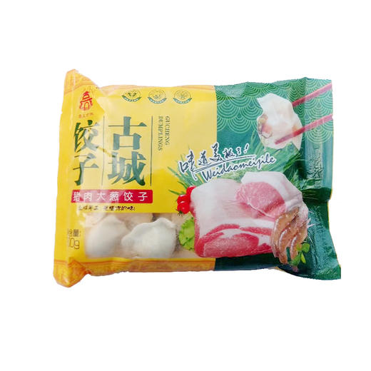 秦皇古城猪肉大葱饺子500g 商品图0