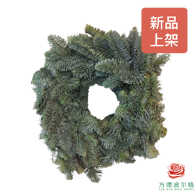 荷兰进口诺贝松圈30公分 ！