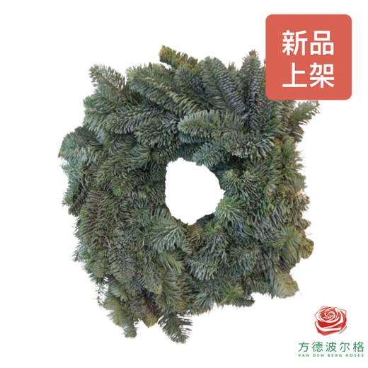 荷兰进口诺贝松圈30公分 ！ 商品图0