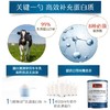 Swisse 乳清蛋白粉香草味450g 商品缩略图3