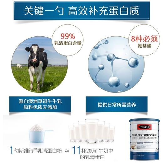 Swisse 乳清蛋白粉香草味450g 商品图3